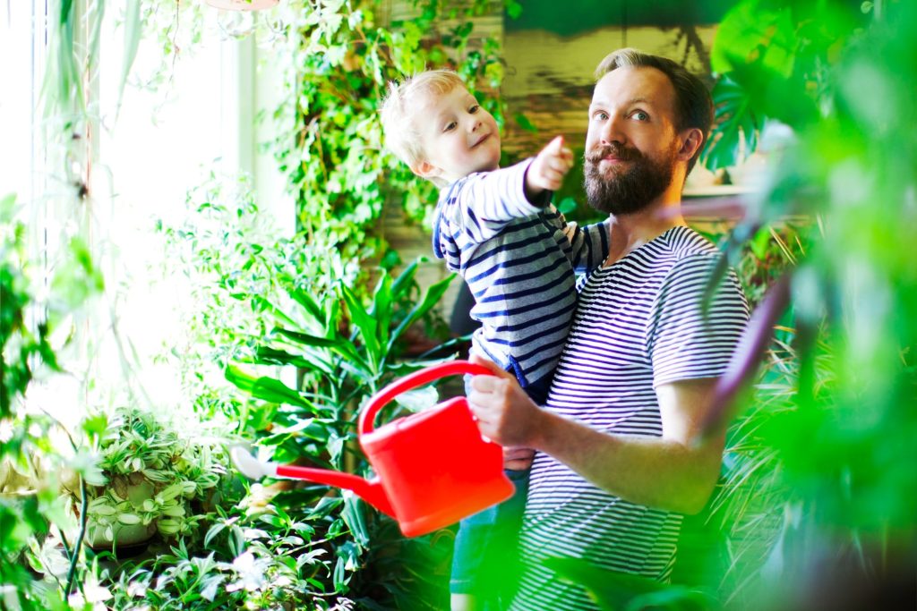 Plantes vertes arrosées par un papa et son enfant dans un jardin d'hiver - la bellenergie