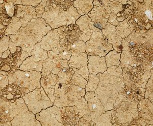 sécheresse 2022 en France, comment consommer moins d'eau ?
