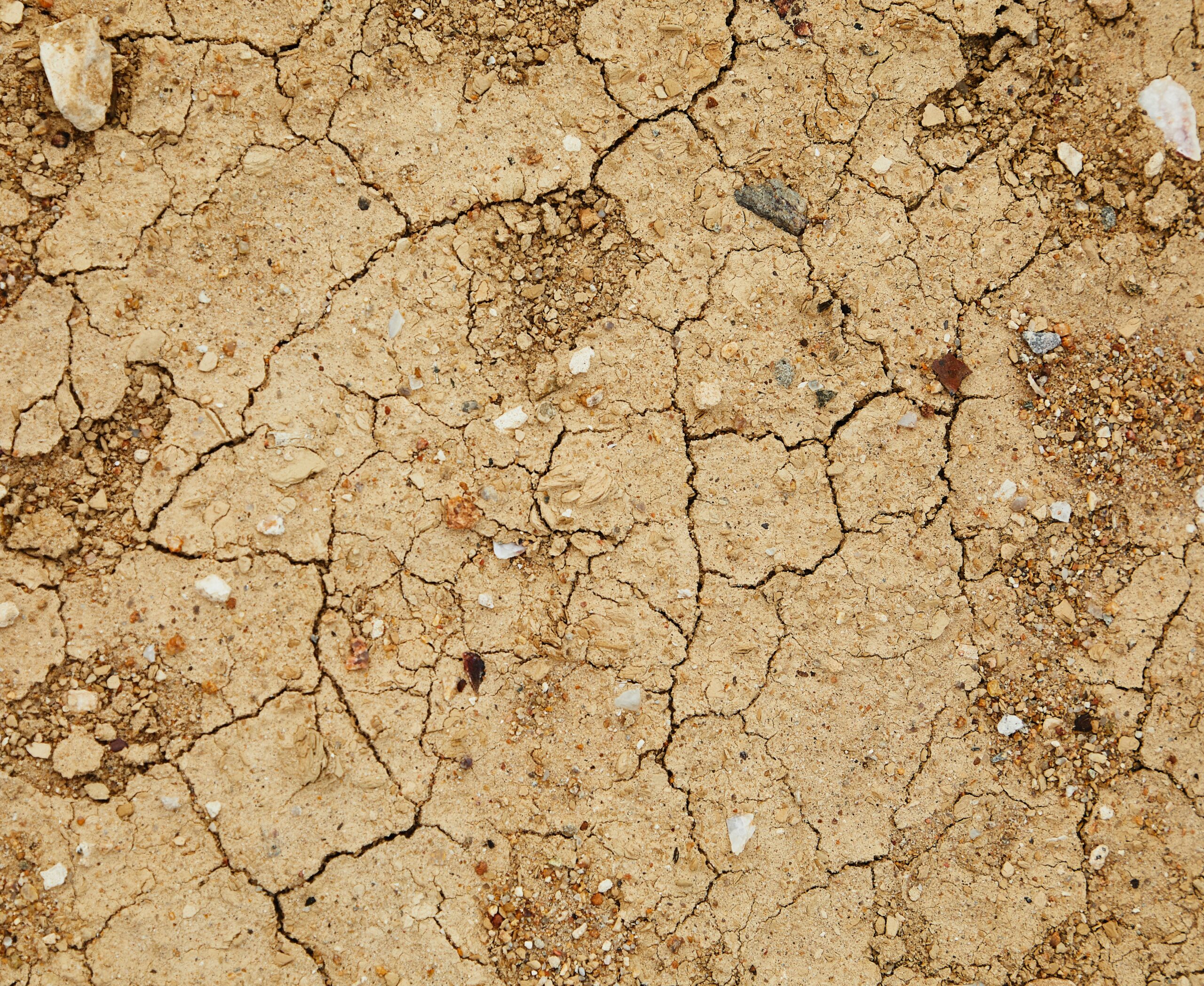 sécheresse 2022 en France, comment consommer moins d'eau ?