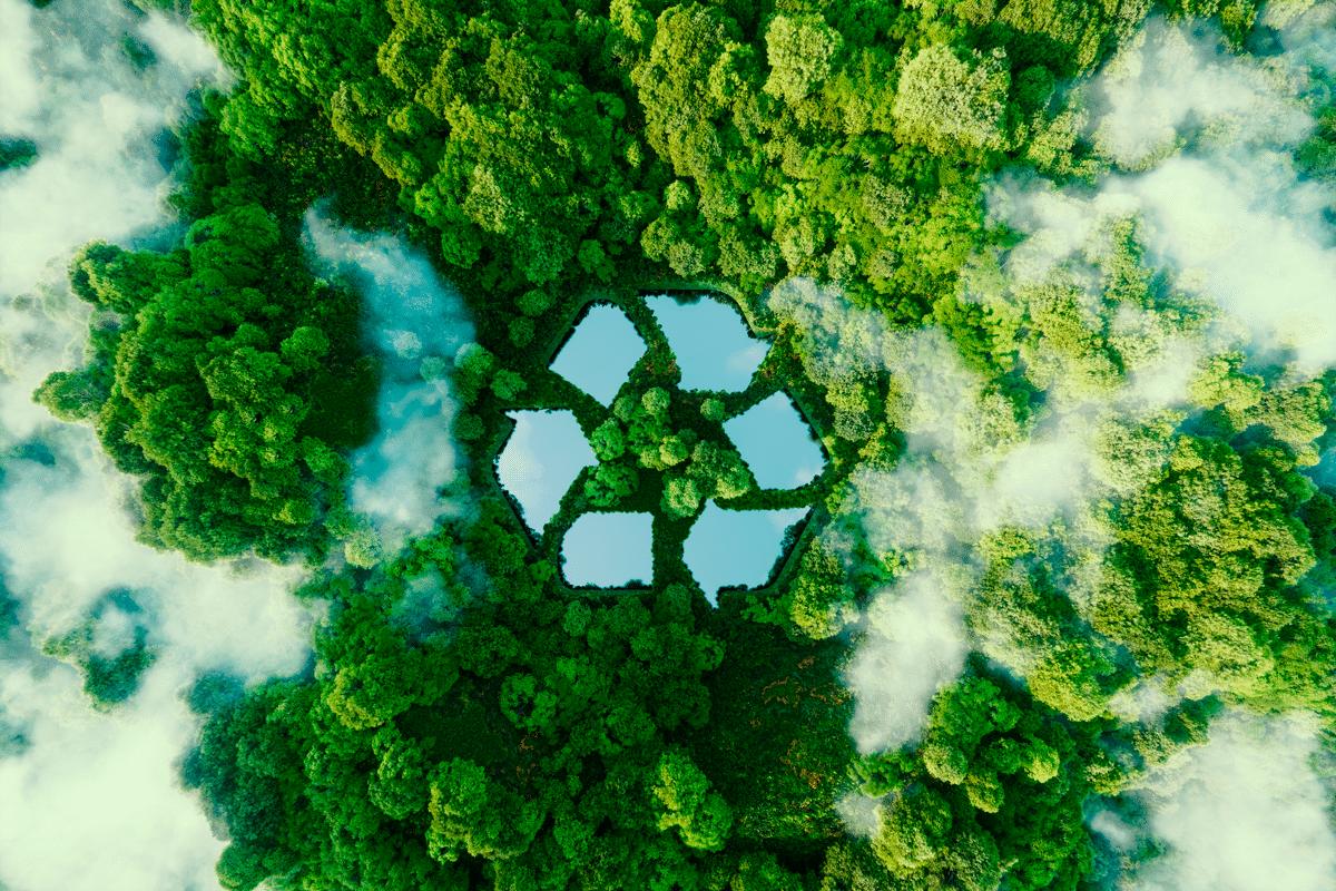 Forêt d'arbres et nuages