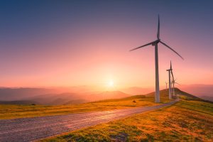 Champ d'éolienne au soleil couchant